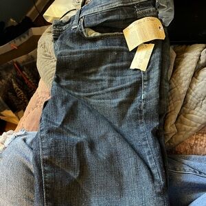 Divine Rights of Denim NWT Size 29